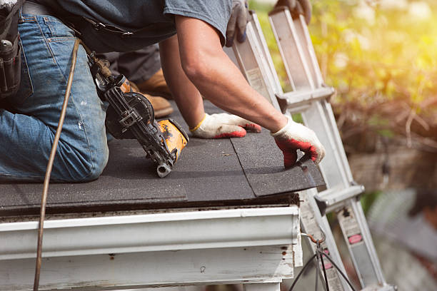 Best Storm Damage Roof Repair  in Laredo, TX